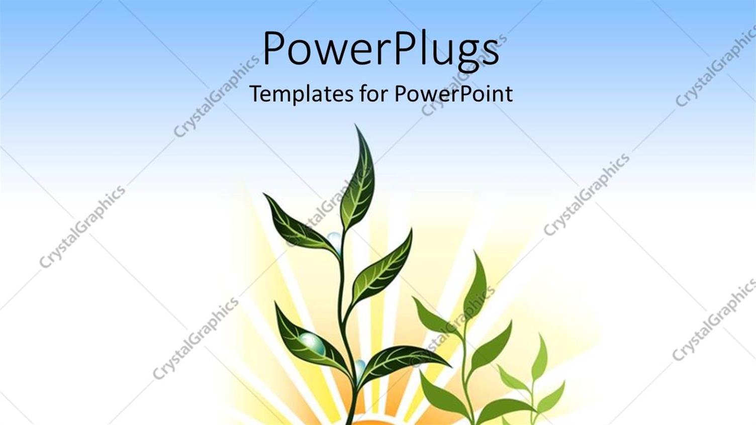 Premium Template for PowerPoint & Google Slides 