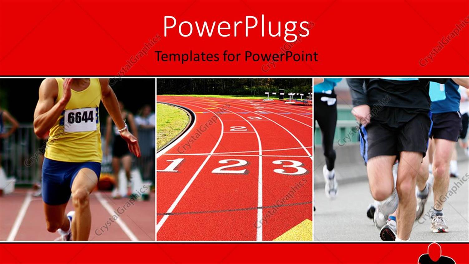 Premium Template for PowerPoint & Google Slides 