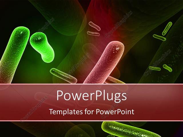 PowerPoint Template A Number Of Bacteria With Their Reflection In The 