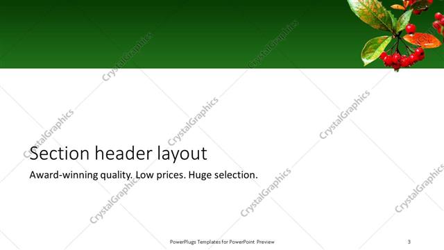 Section Header presentation slide layout