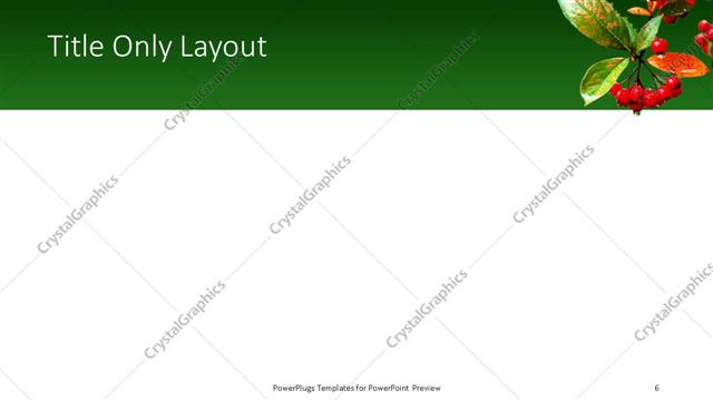 Title Only presentation slide layout