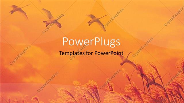  Presentation with birds flying - A number of birds flying in the air