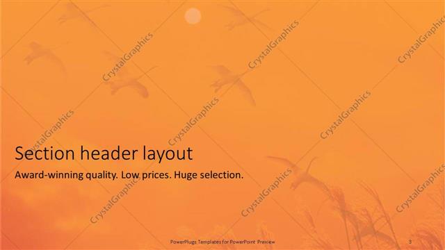 Section Header presentation slide layout