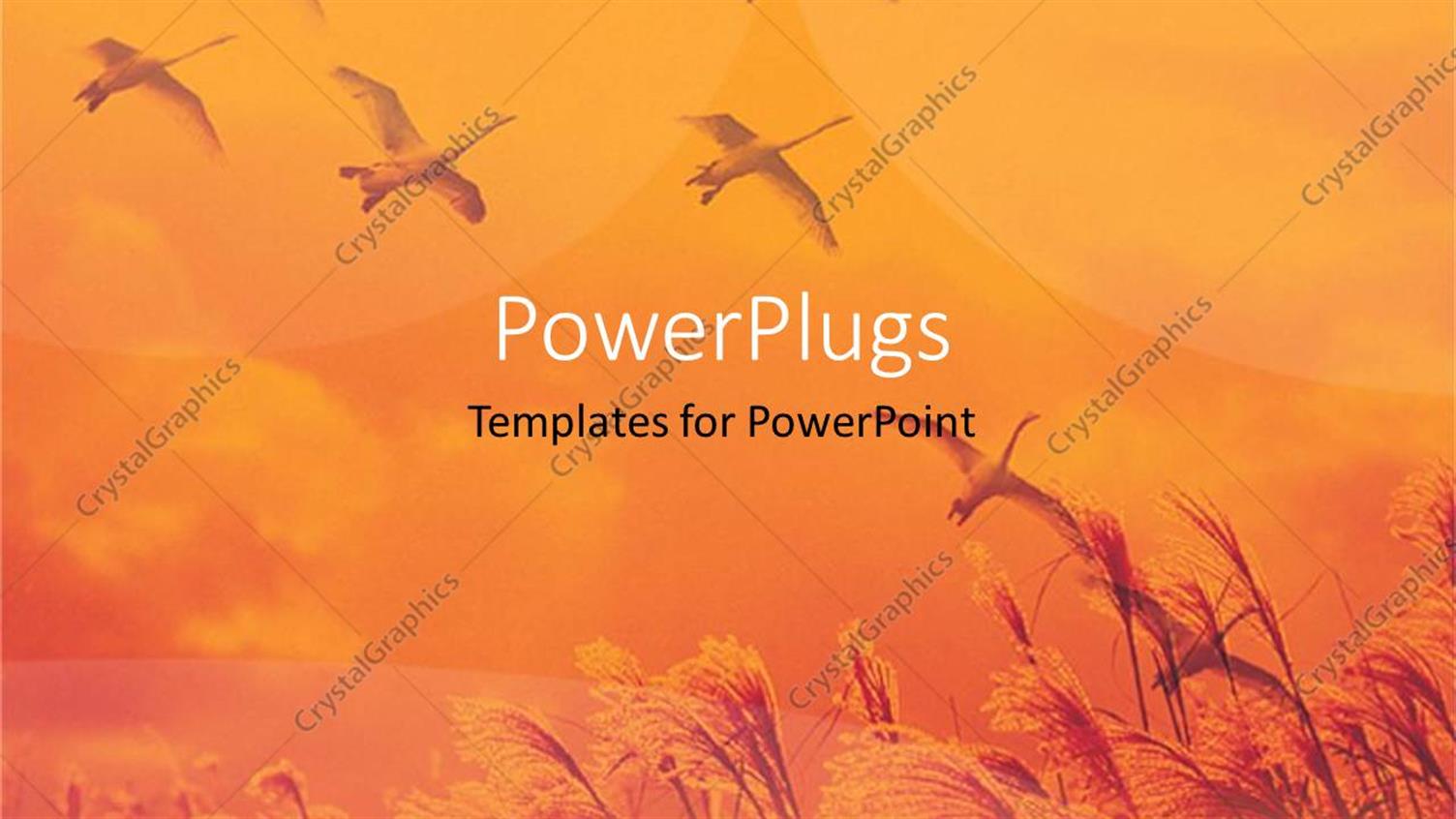 Featuring a Number of Birds Flying in the Air