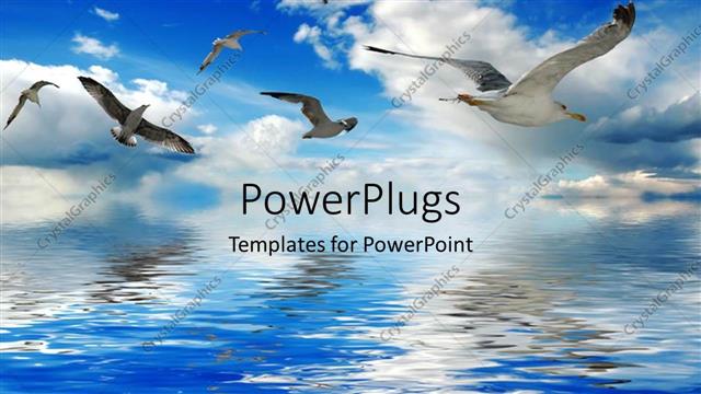  Presentation with birds flying - A number of birds flying over the sea