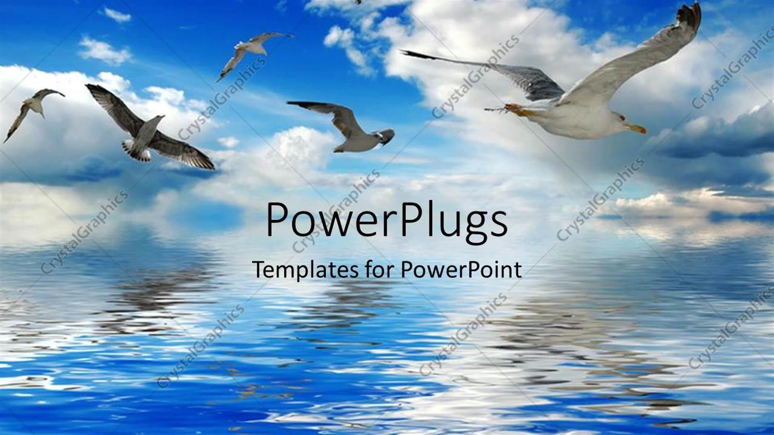 Featuring a Number of Birds Flying Over the Sea