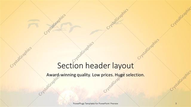 Section Header presentation slide layout