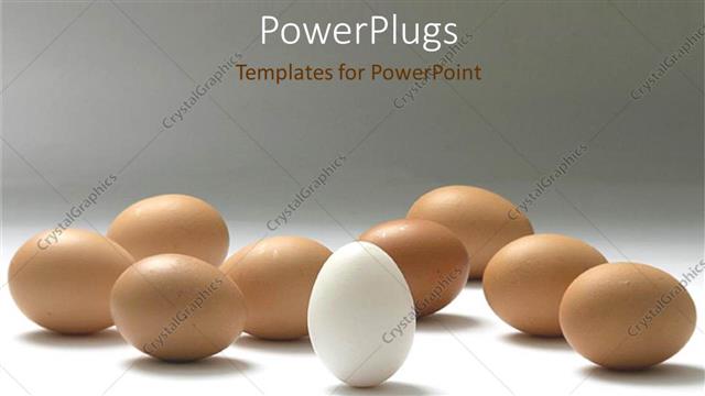  Presentation with leadership - A number of brown eggs with a white one