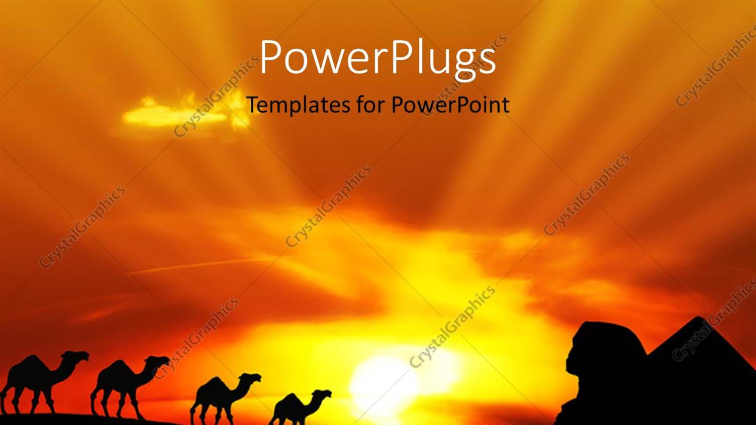 Premium Template for PowerPoint & Google Slides 