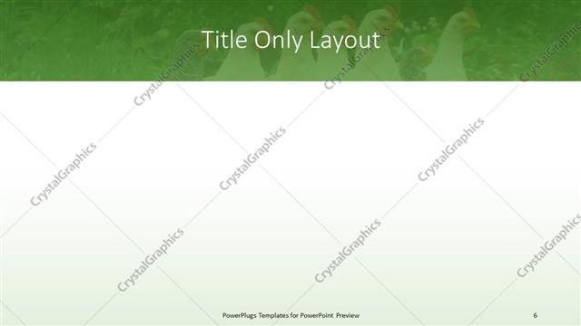 Title Only presentation slide layout
