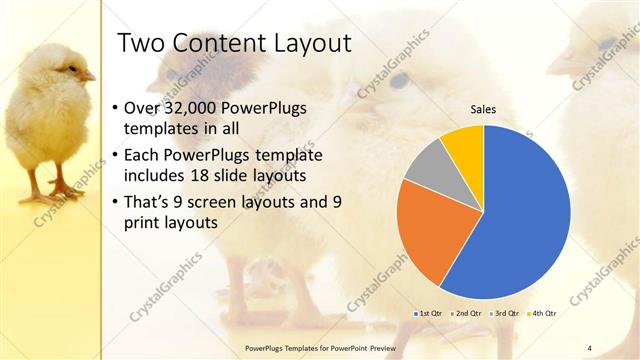 Two Content presentation slide layout