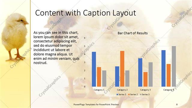 Content with Caption presentation slide layout