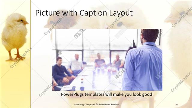 Picture with Caption presentation slide layout