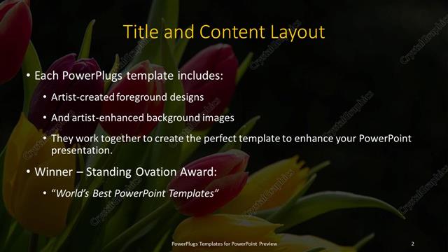 Title and Content presentation slide layout