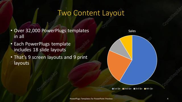 Two Content presentation slide layout