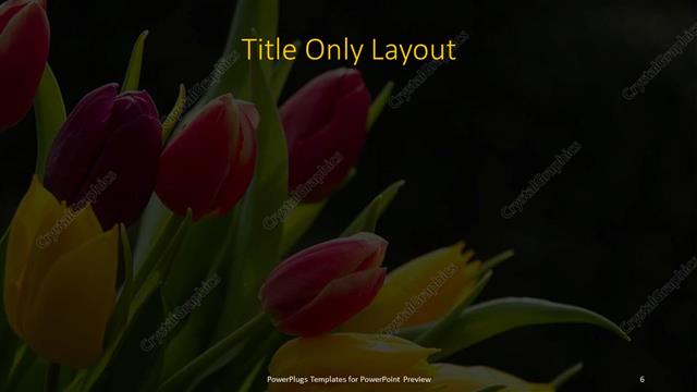 Title Only presentation slide layout