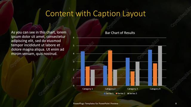 Content with Caption presentation slide layout