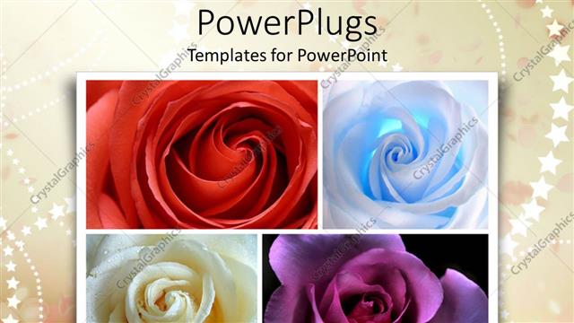  Presentation with stars - A number of colorful flowers with stars in the background