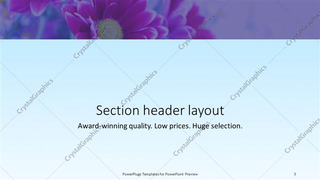 Section Header presentation slide layout
