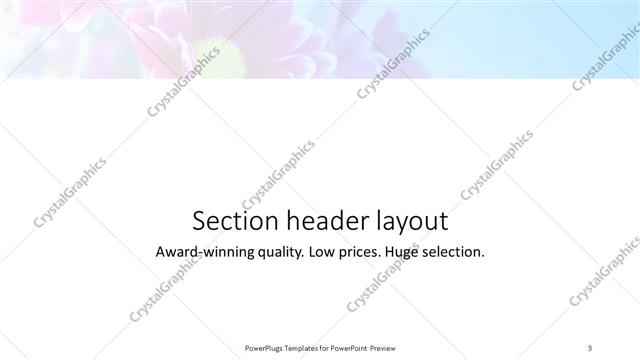 Section Header presentation slide layout