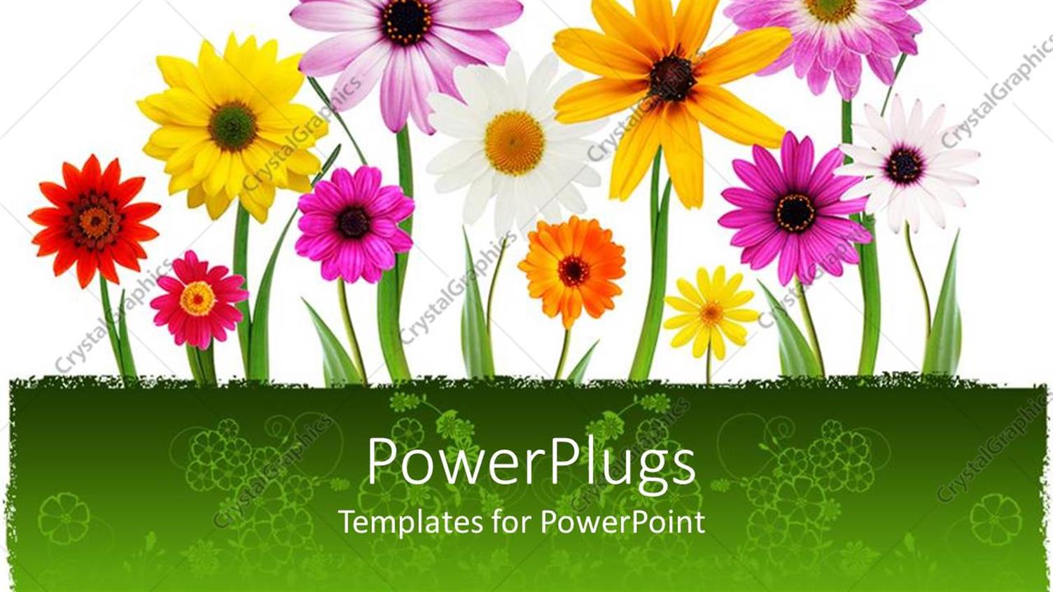 Premium Template for PowerPoint & Google Slides 