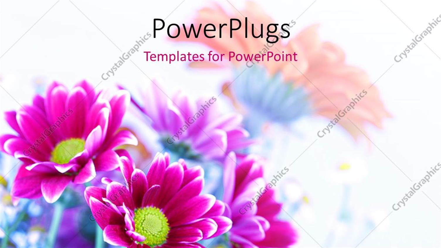 Premium Template for PowerPoint & Google Slides 