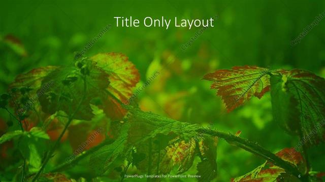 Title Only presentation slide layout