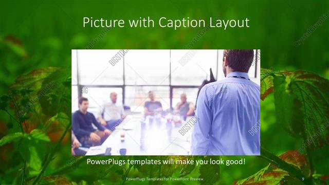 Picture with Caption presentation slide layout