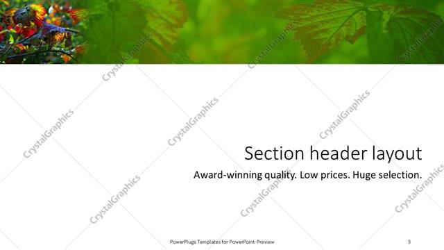 Section Header presentation slide layout