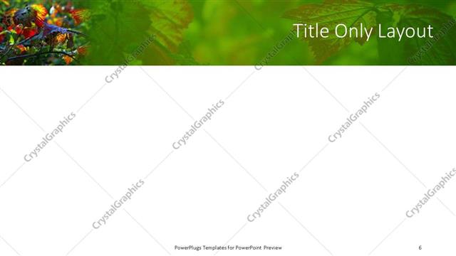 Title Only presentation slide layout