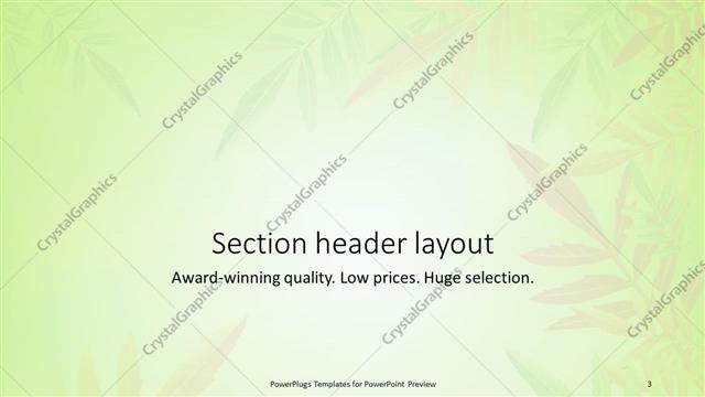 Section Header presentation slide layout