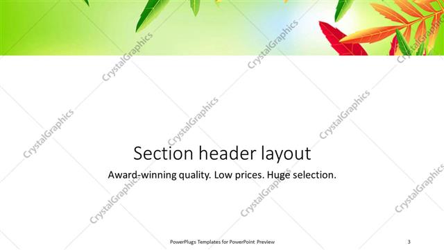 Section Header presentation slide layout
