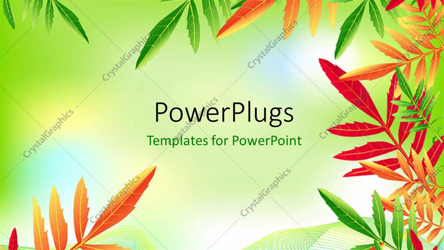 Premium Template for PowerPoint & Google Slides 