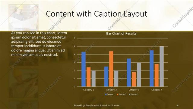 Content with Caption presentation slide layout