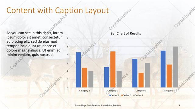 Content with Caption presentation slide layout