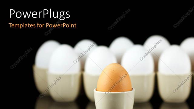  Presentation with stand - A number of eggs in white color with one in brown