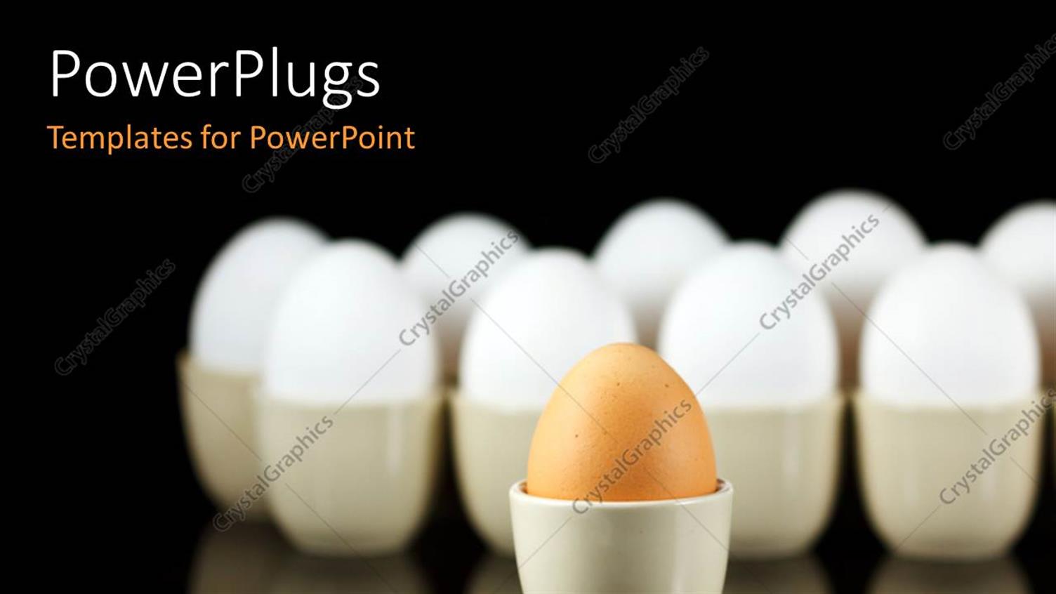 Premium Template for PowerPoint & Google Slides 