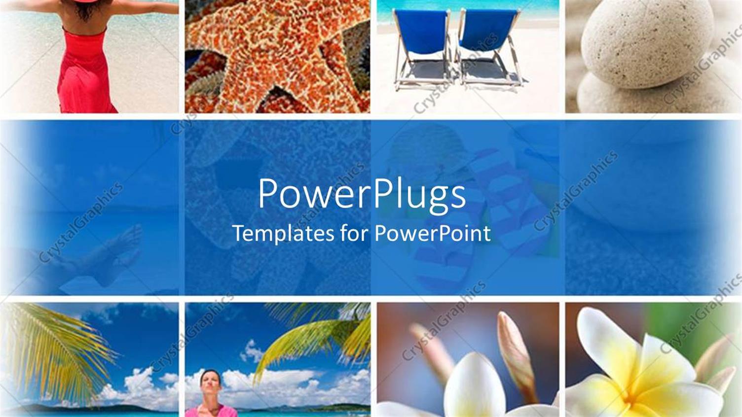 Premium Template for PowerPoint & Google Slides 