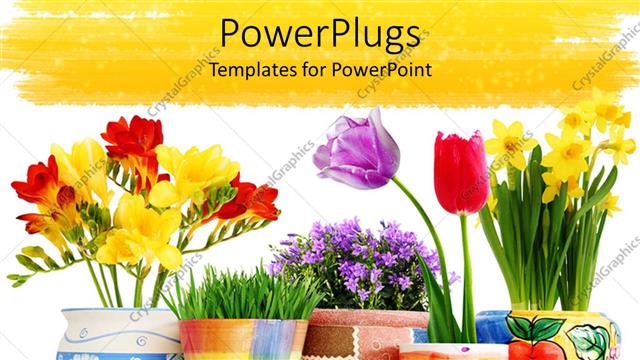  Presentation with colorful flower - A number of flower pots in colorful form and white background