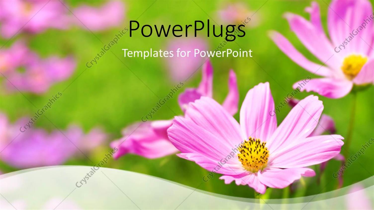 Premium Template for PowerPoint & Google Slides 