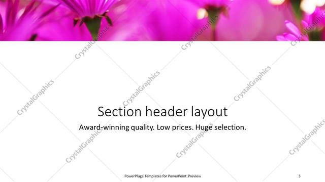 Section Header presentation slide layout