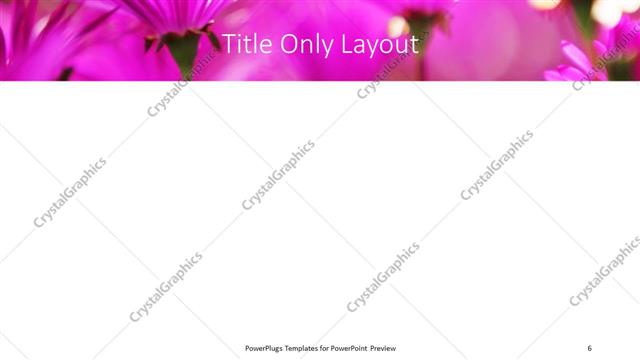 Title Only presentation slide layout