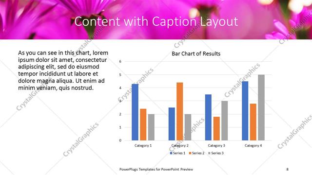 Content with Caption presentation slide layout