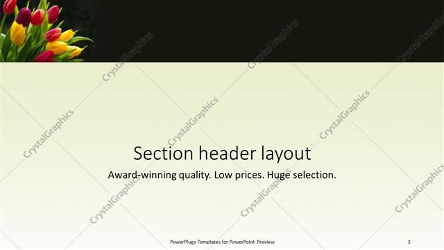 Section Header presentation slide layout
