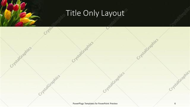 Title Only presentation slide layout