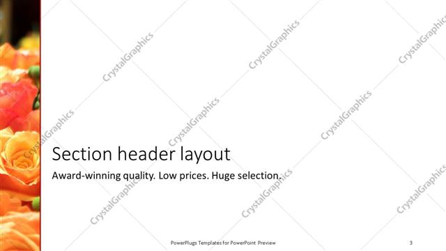 Section Header presentation slide layout