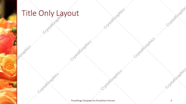 Title Only presentation slide layout