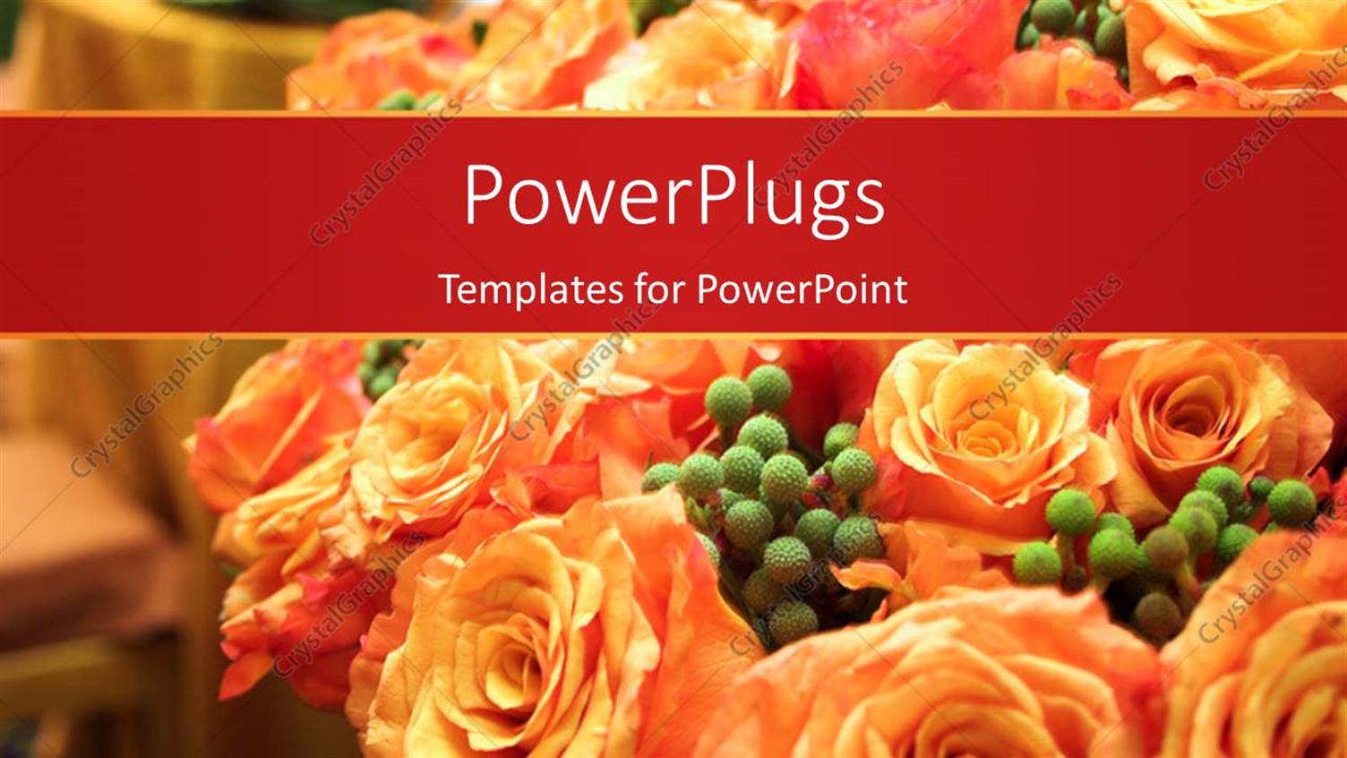 Premium Template for PowerPoint & Google Slides 