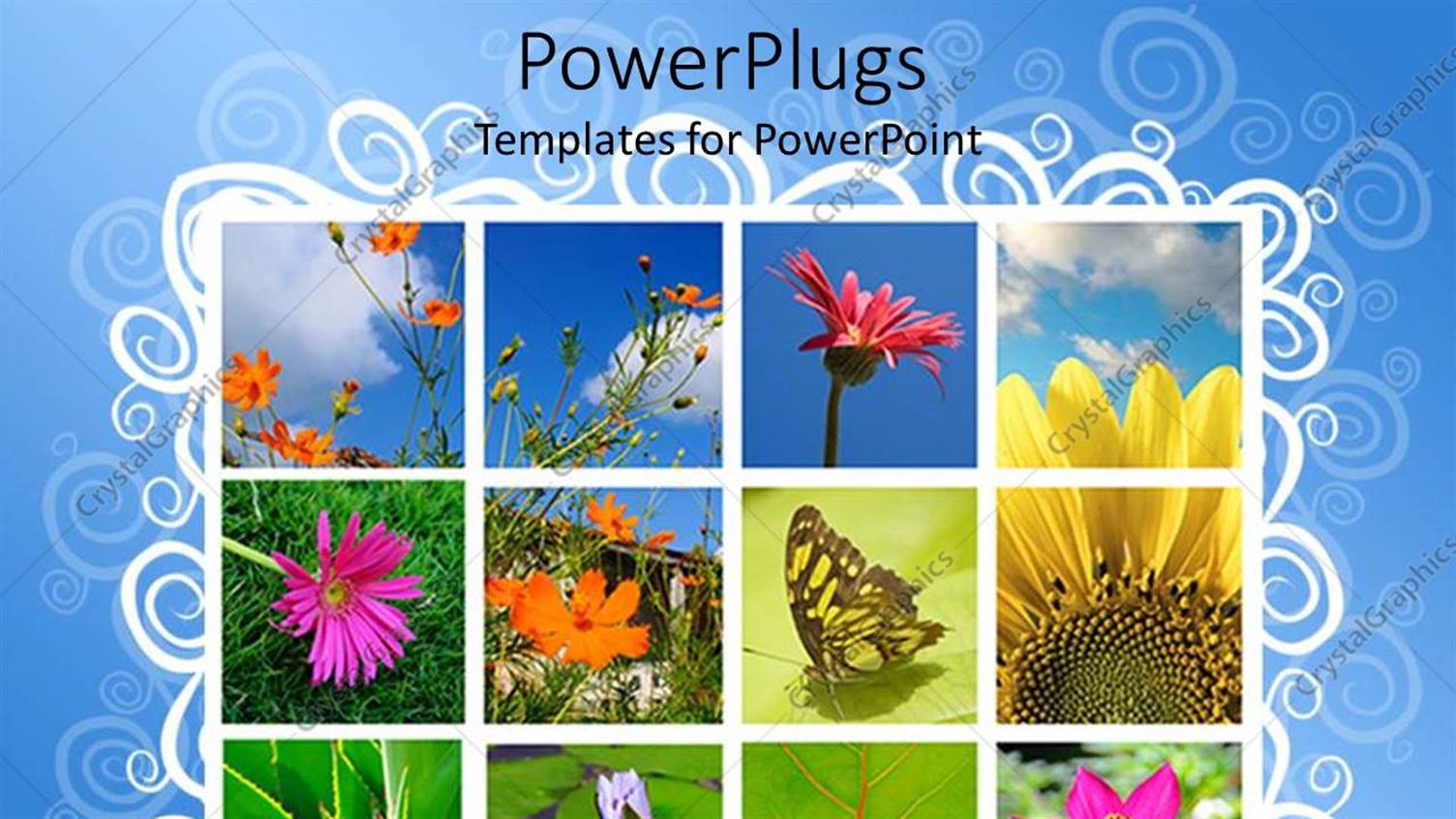 Premium Template for PowerPoint & Google Slides 