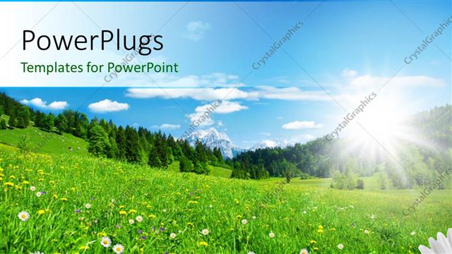  Presentation with clear - A number of flowers with clear sky in background